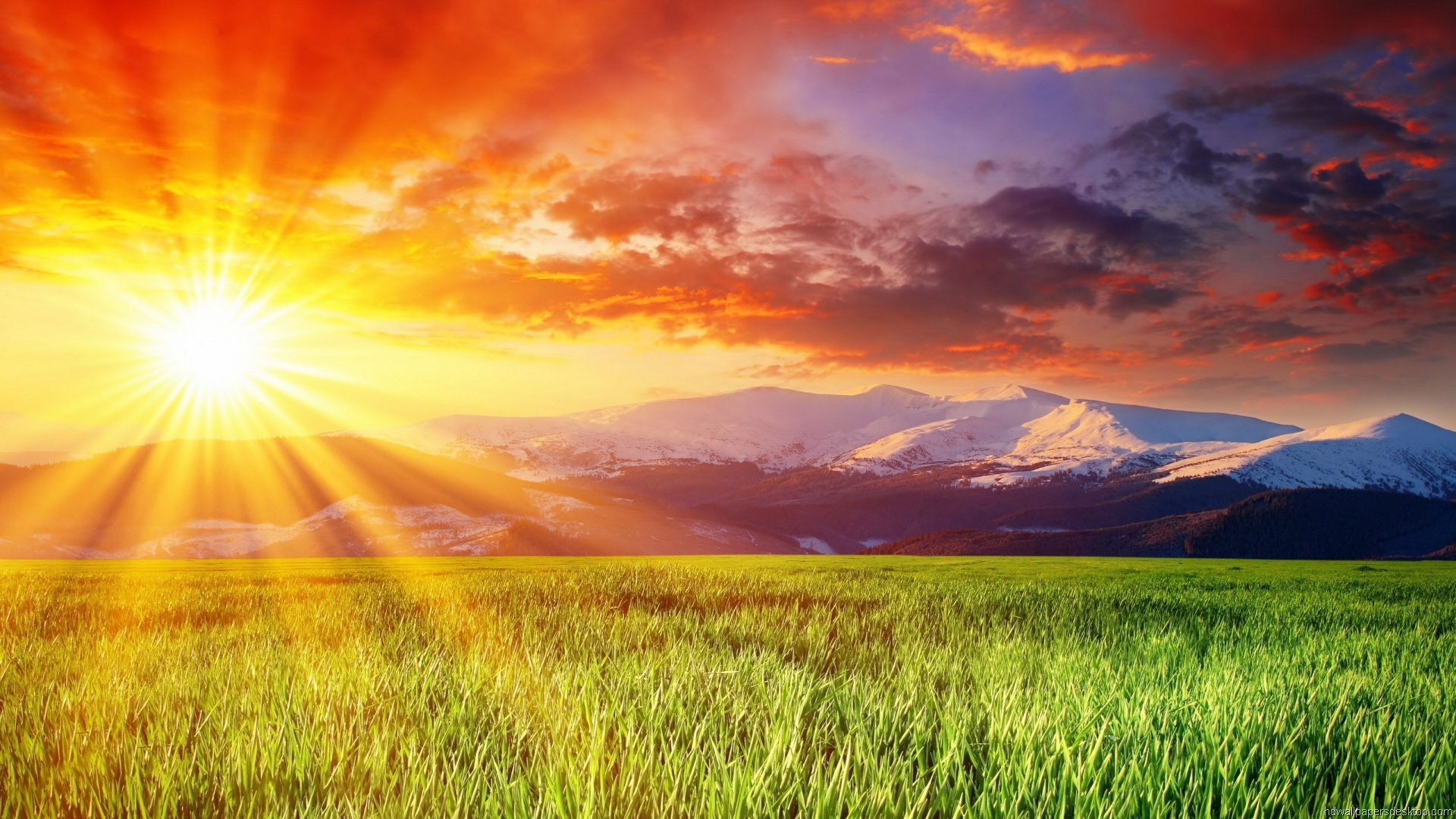 🔥 Download Meadow Sunrise Hd Desktop Wallpaper By Dawnmarquez