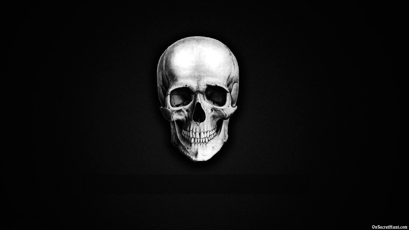 Funny Skeleton Wallpaper Best HD Image Of Skull