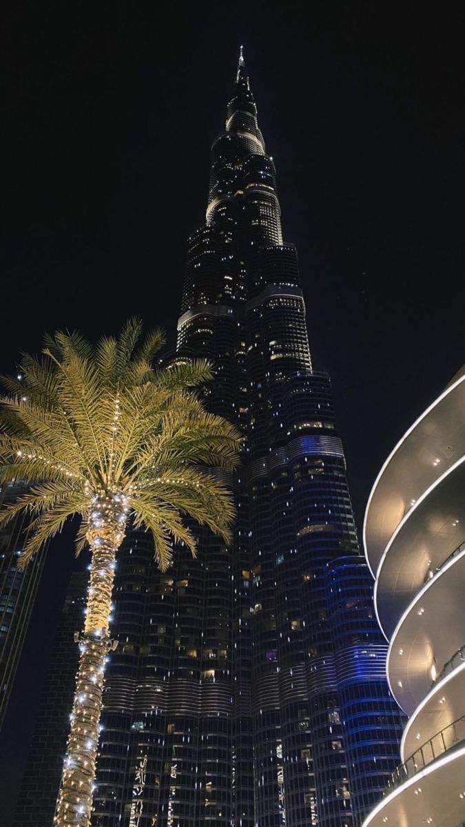 Cirarose On Dubai Holiday Decor City Life In