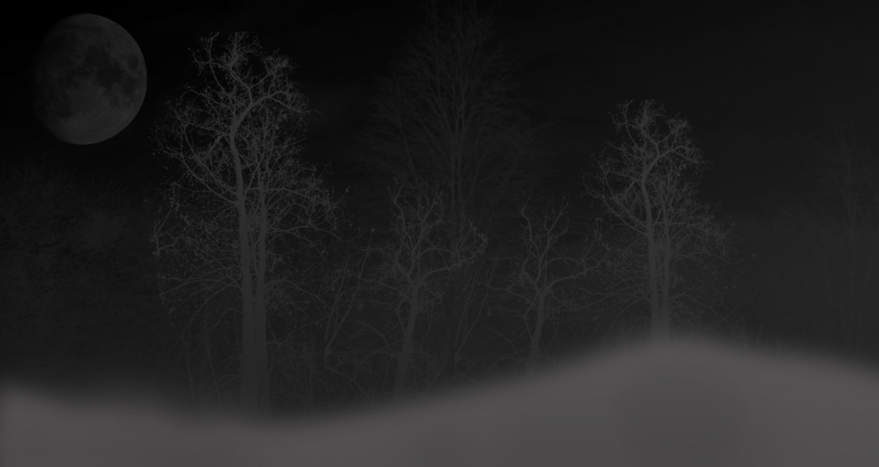 Background Fog Night