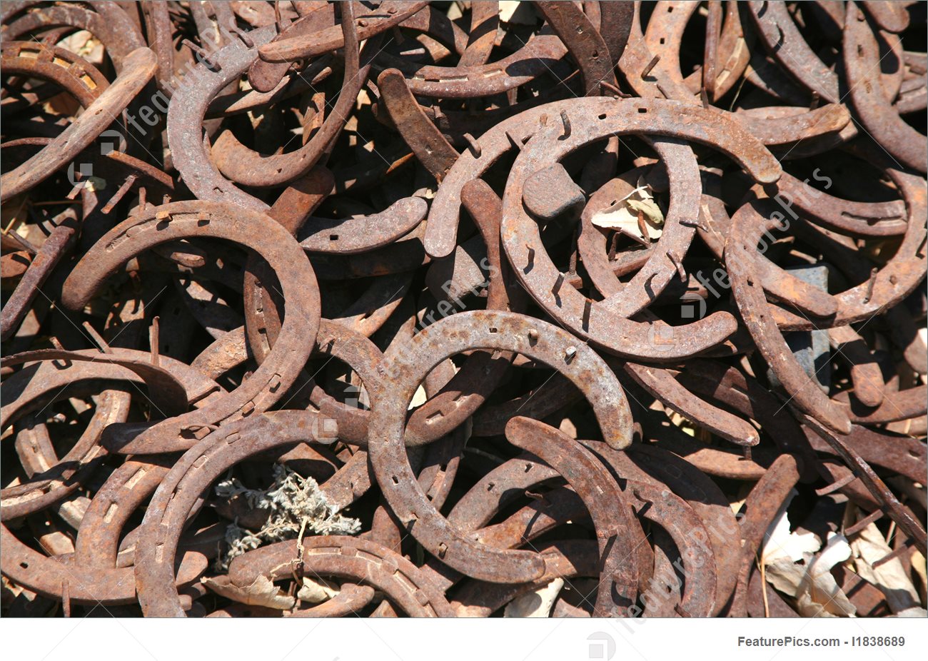 Documentary Horseshoe Background Stock Picture I1838689 At