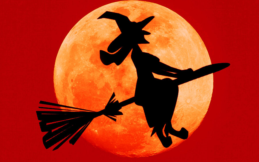 Halloween Witch Wallpaper HD