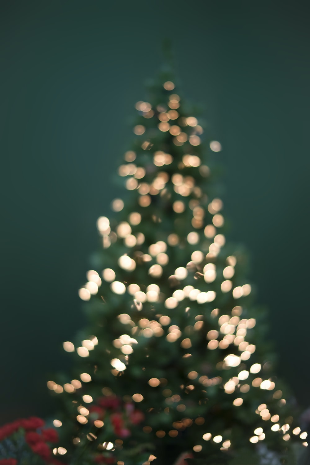 Boke Photography Of Christmas Tree And String Lights Photo