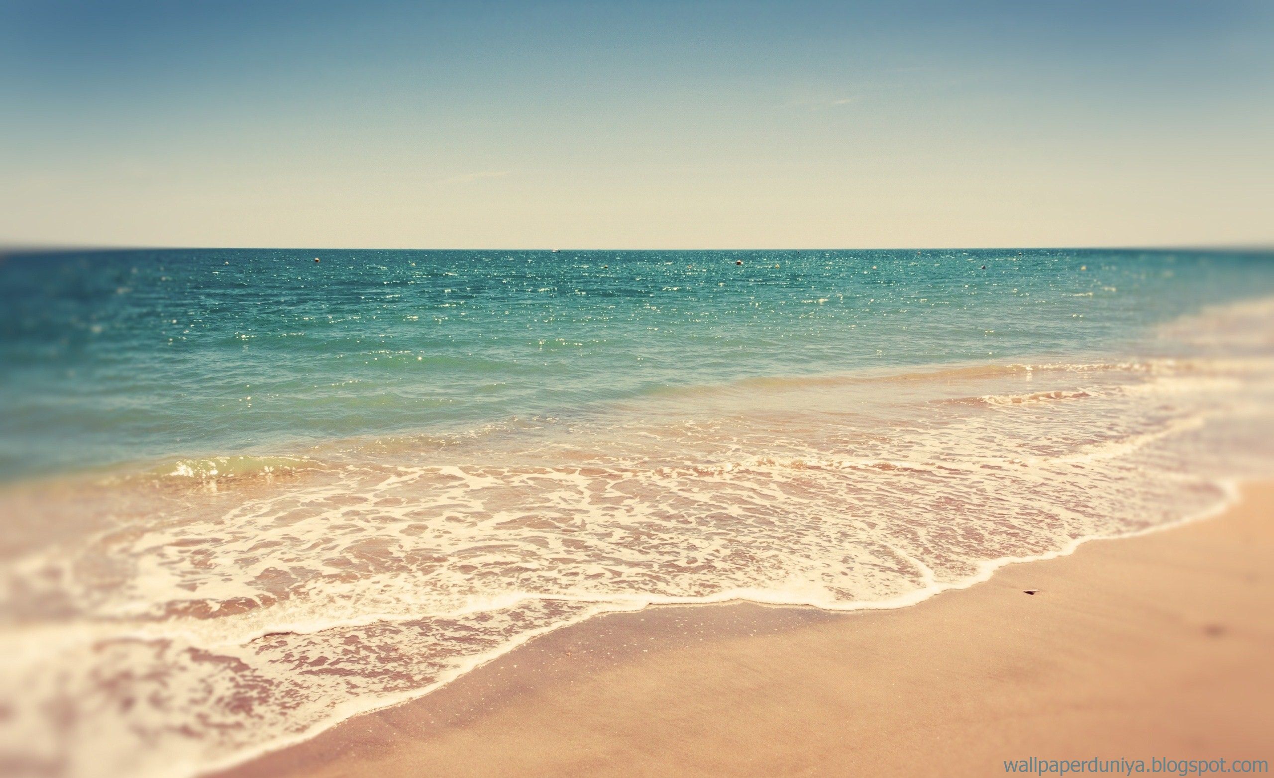 Beach Scenes For Desktop Background | PixLith