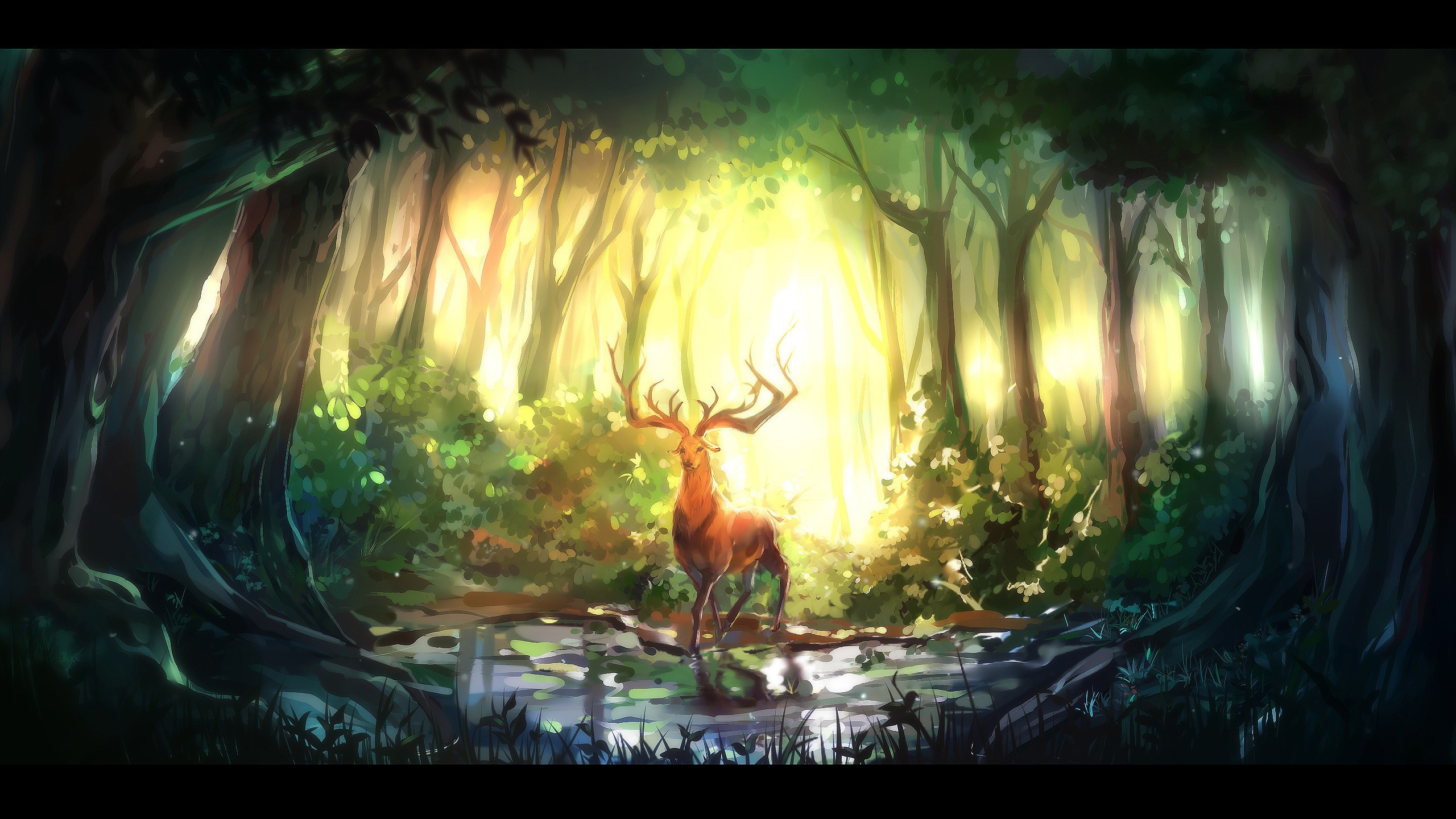 Deer Forests Sunlight Water Wallpaper And Image
