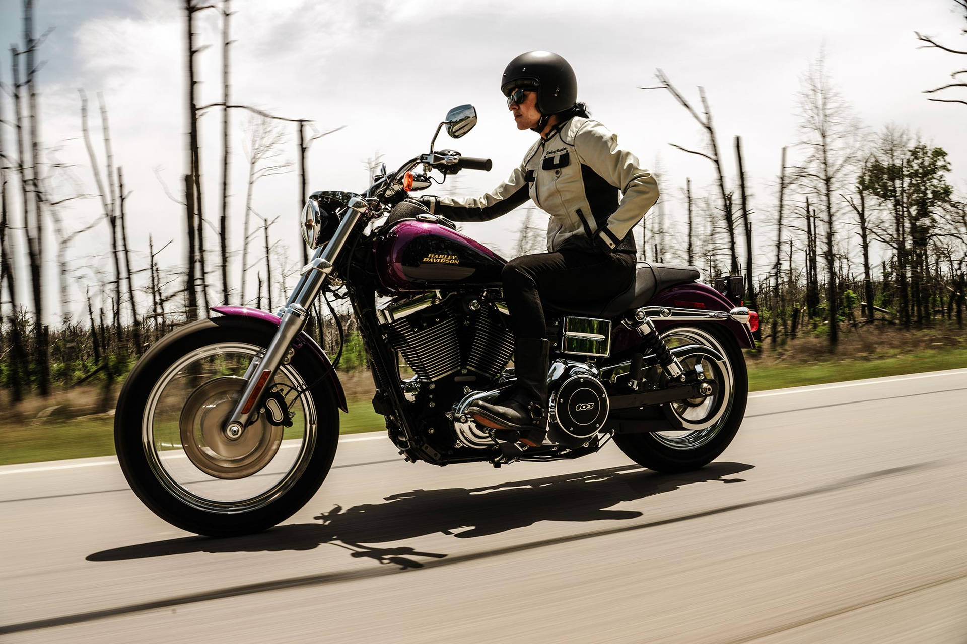 Easy Rider Wallpaper