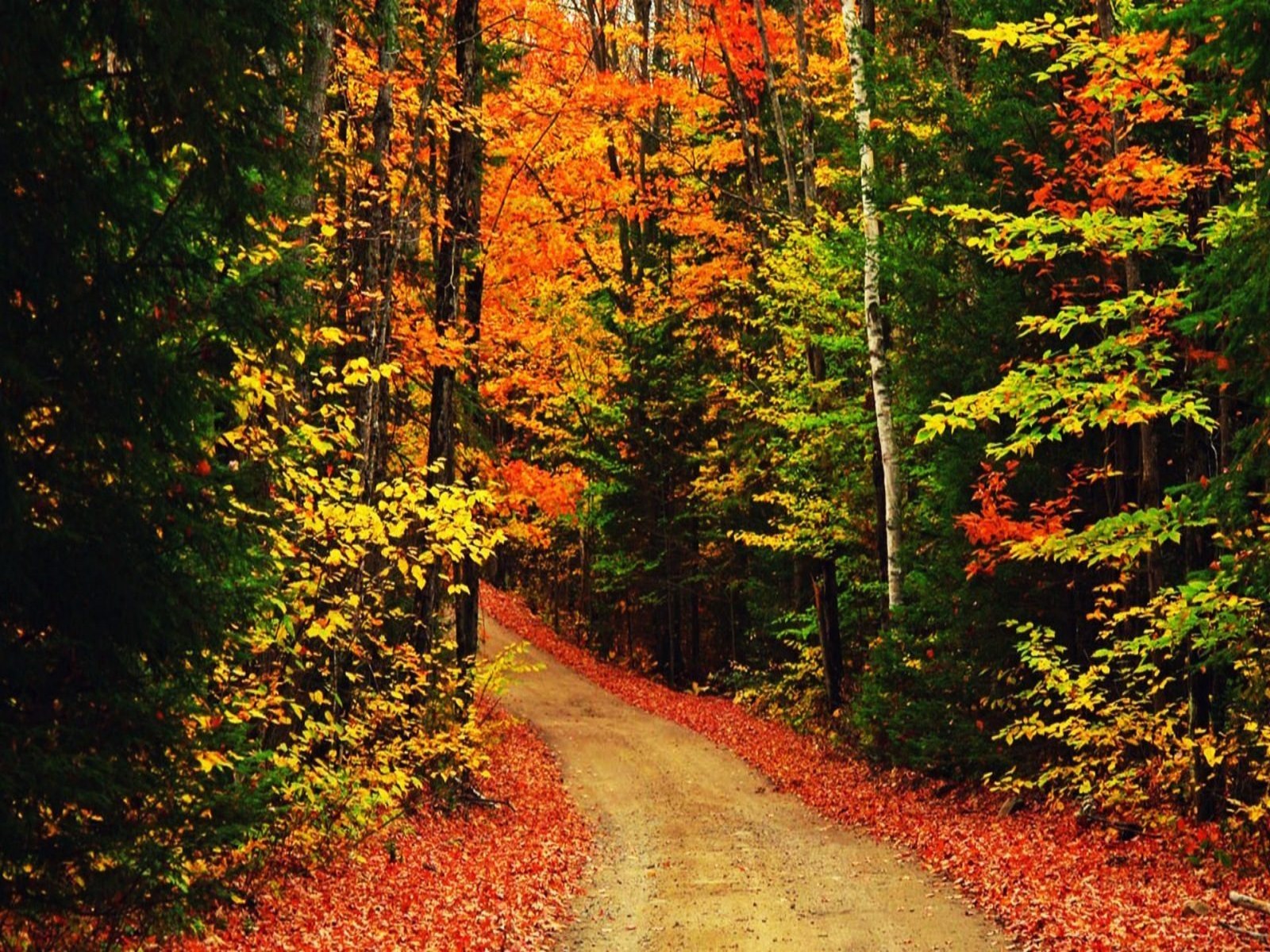 Autumn Wallpaper For Mac