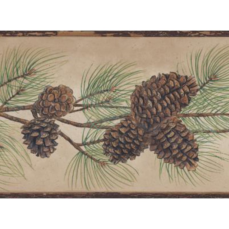 [39+] Pine Cone Wallpaper Borders Discount on WallpaperSafari
