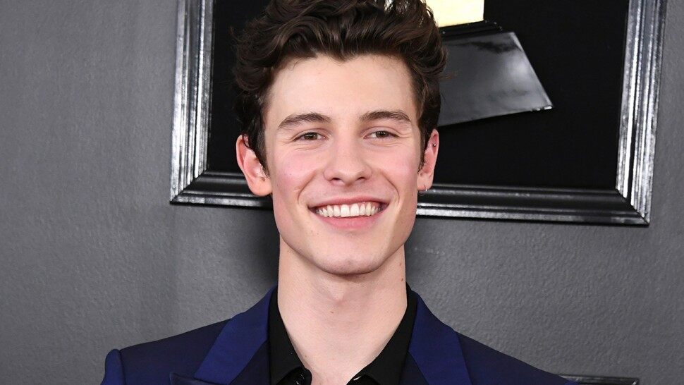 Shawn Mendes Poses In His Underwear For New Calvin Klein Modeling
