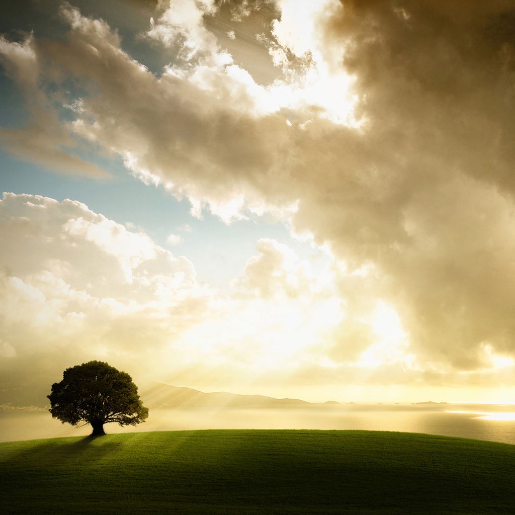 Field Scenery iPad Wallpaper
