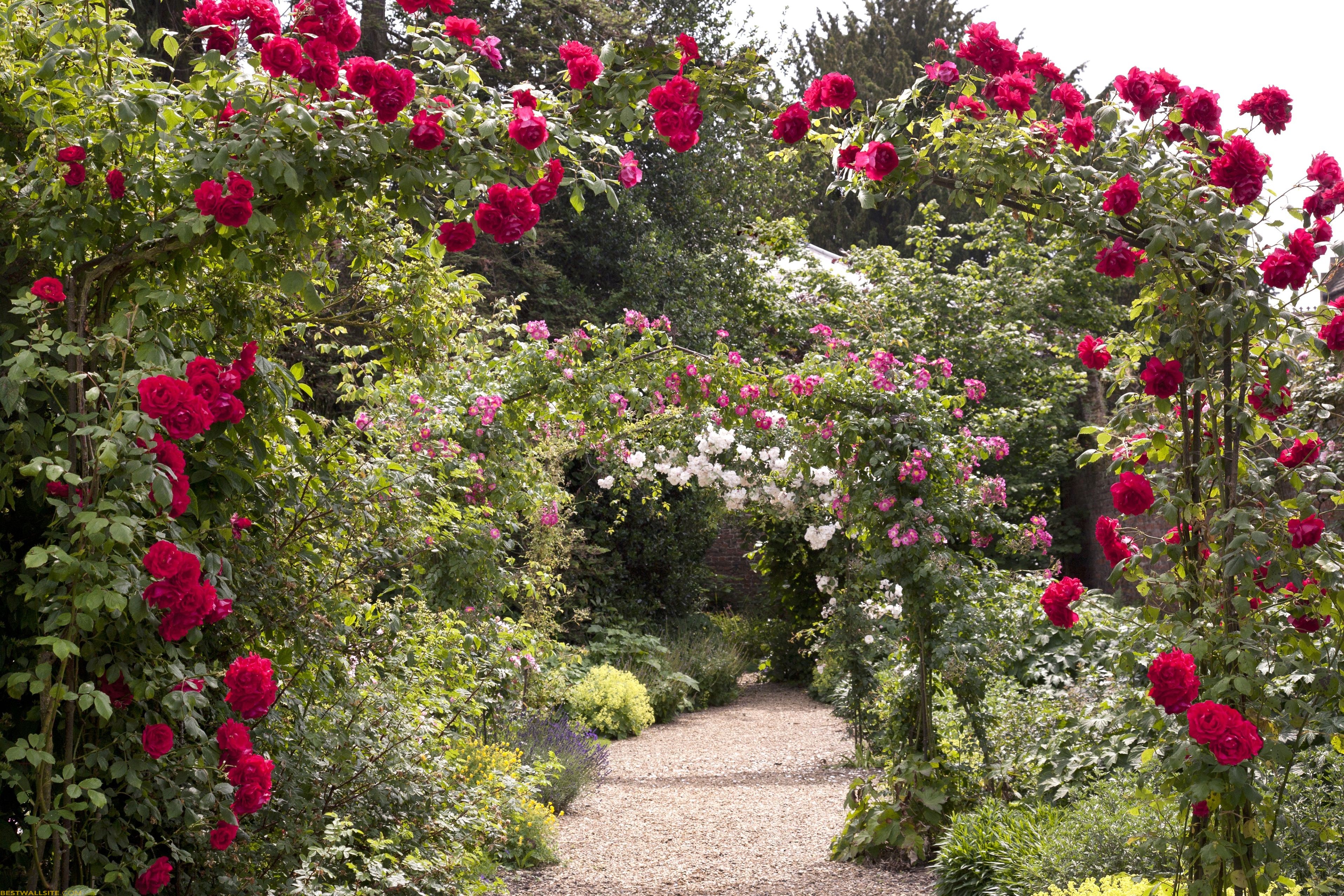 Rose Garden Image Bestwallsite