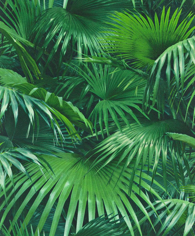 Rasch Tapete Crispy Paper Palm Trees Jungle Plant Fleece