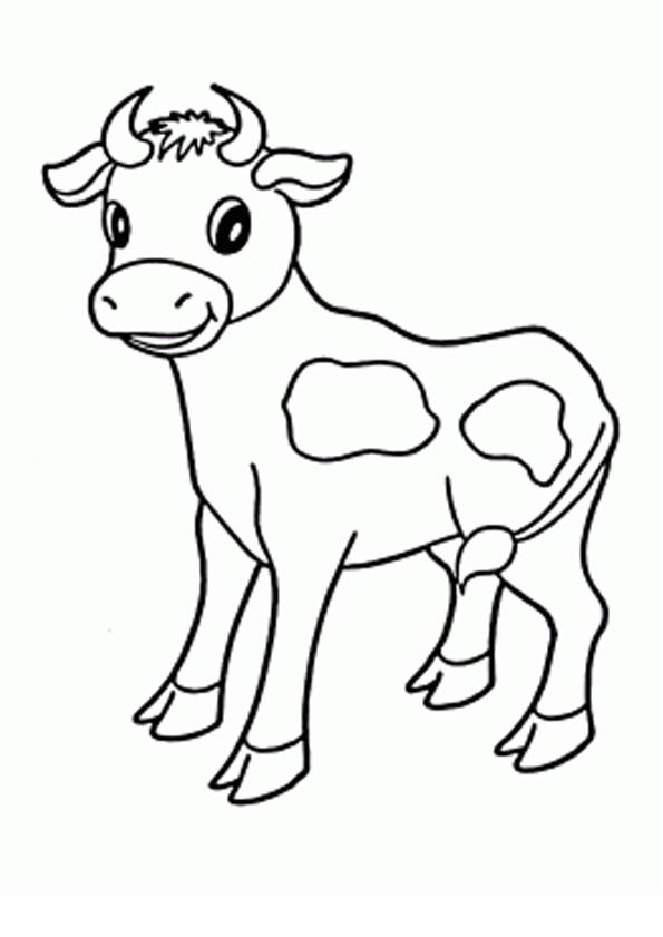 Coloring S Baby Cow
