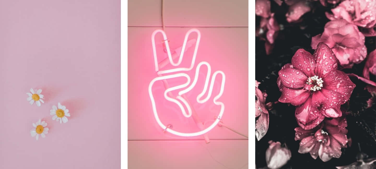 Aesthetic Baby Pink Wallpaper