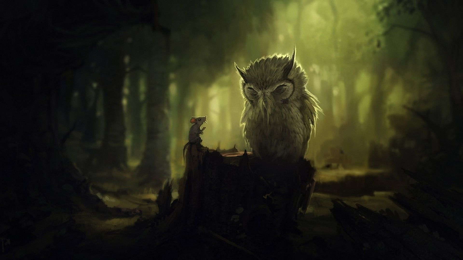 Wallpapers For Dark Forest Wallpapers Widescreen 1920x1080
