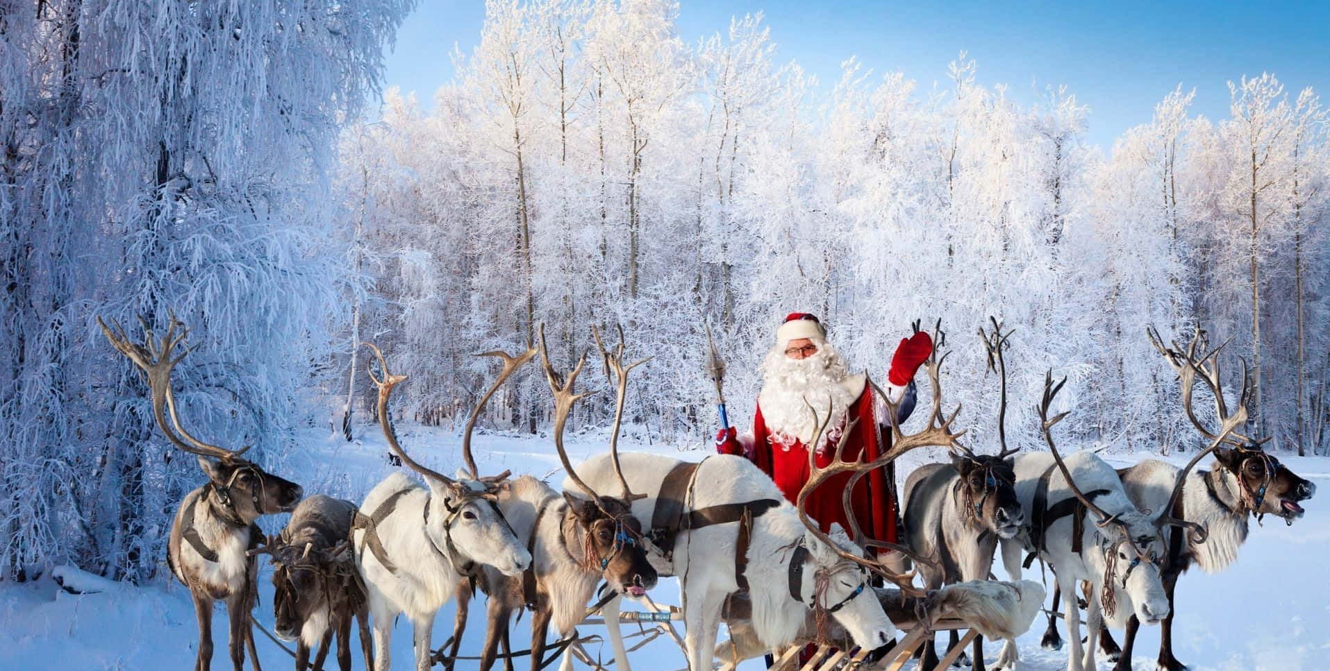 Christmas Vacation Background Wallpaper