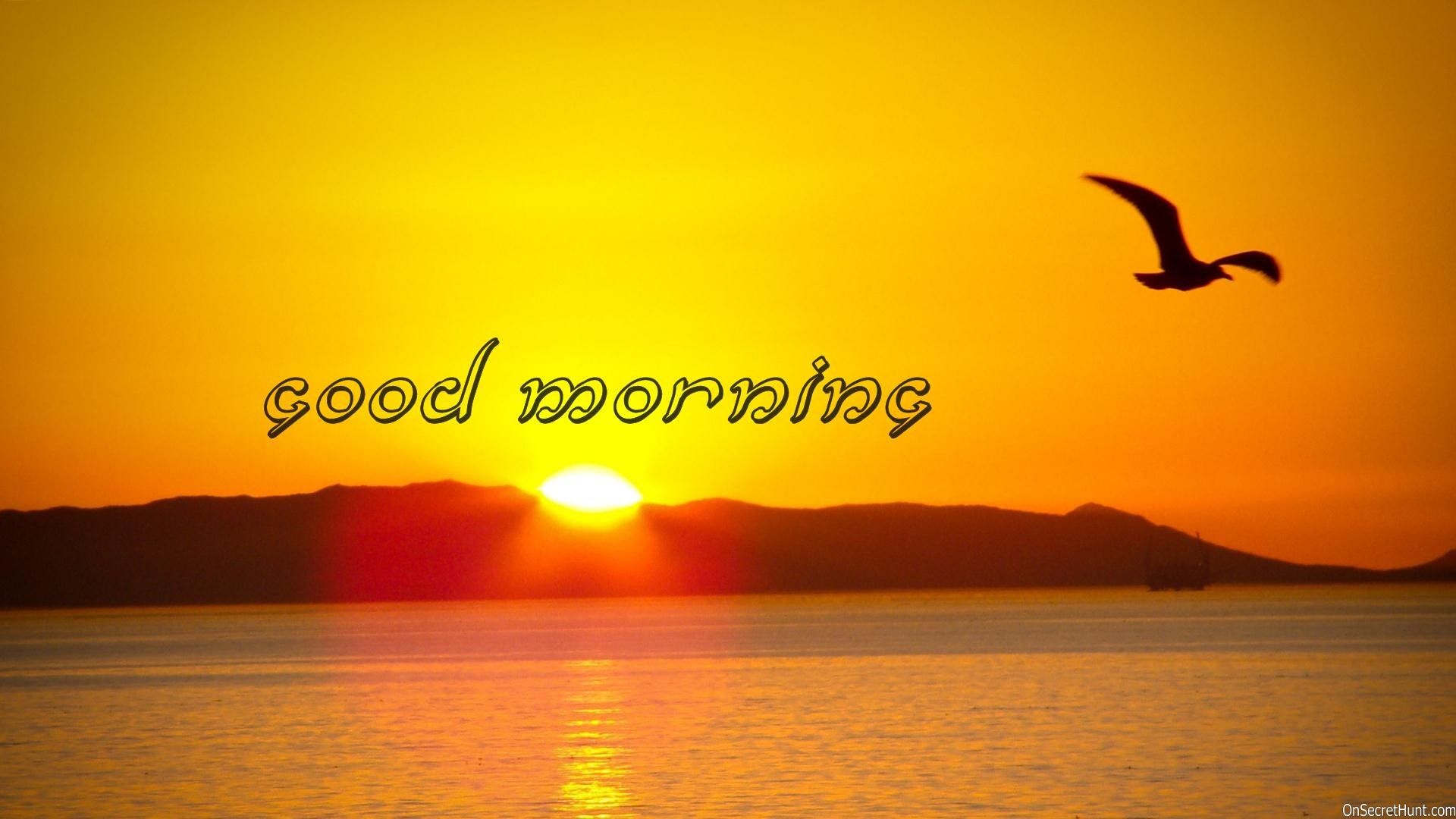 Sun Rising Good Morning Wallpaper Shayri Picture
