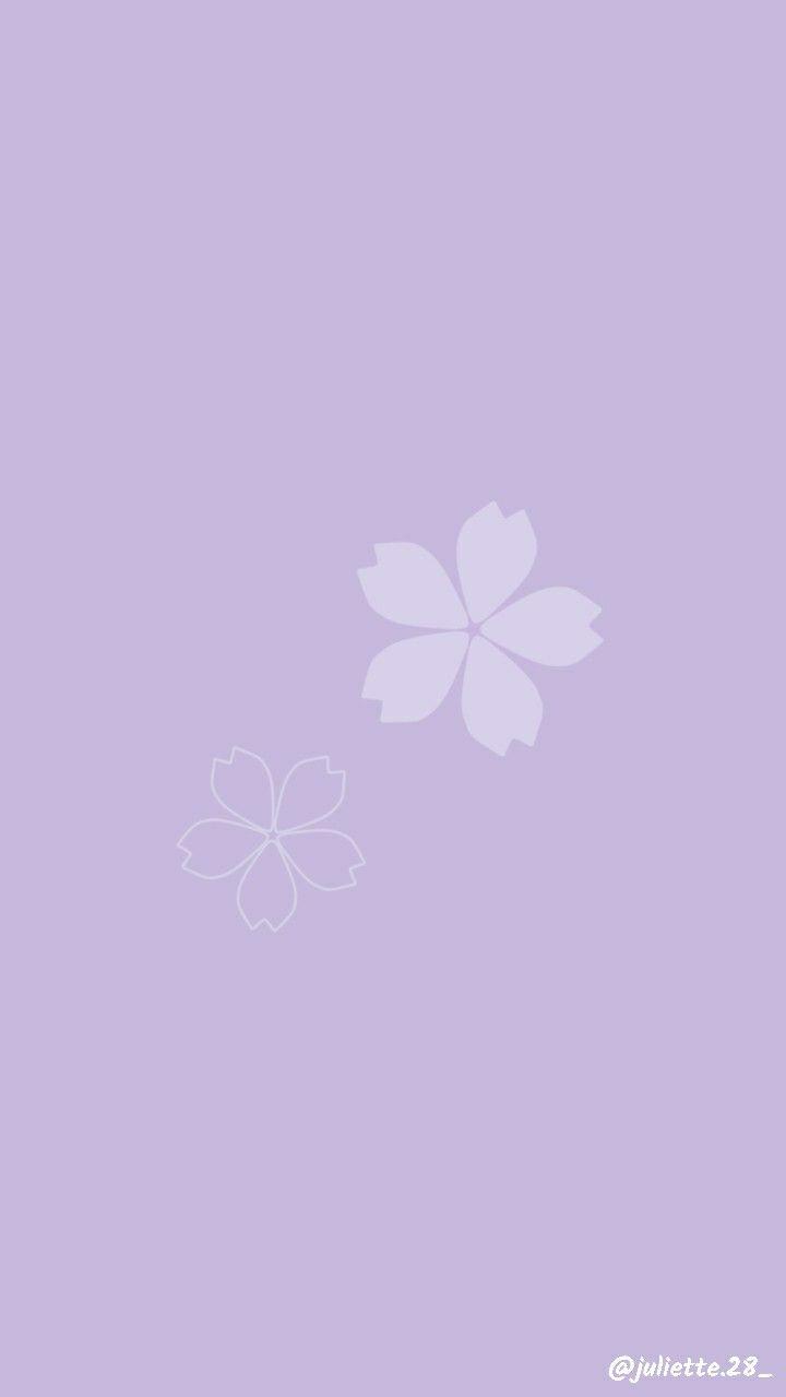 Fondo Juliette28 Sakura Lavender In Purple Wallpaper Phone