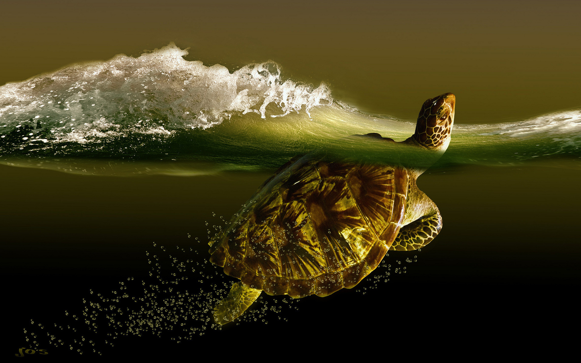 Turtle Sea Wave Turtles Ocean Waves Bubbles Underwater Wallpaper