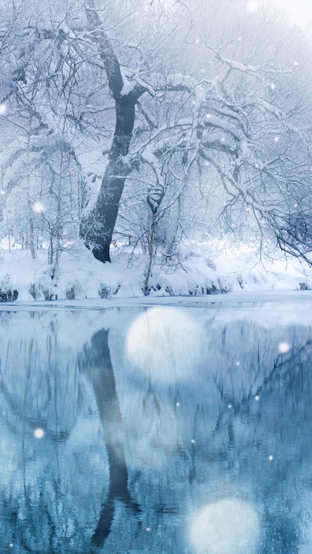 Winter Snowfall iPhone 5s Wallpaper iPad