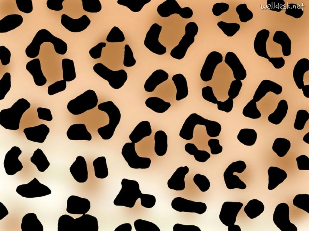 46 Leopard Print Background Wallpaper On Wallpapersafari