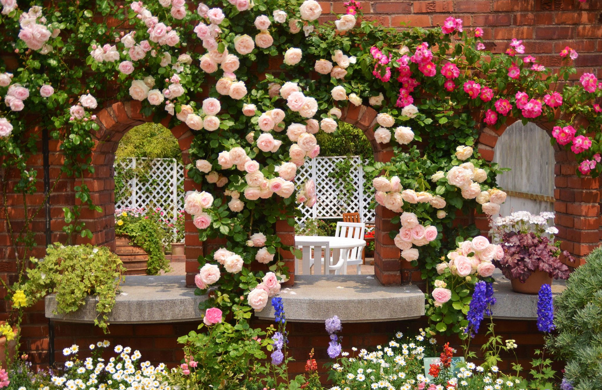 Rose Garden Desktop Background Hostelgarden