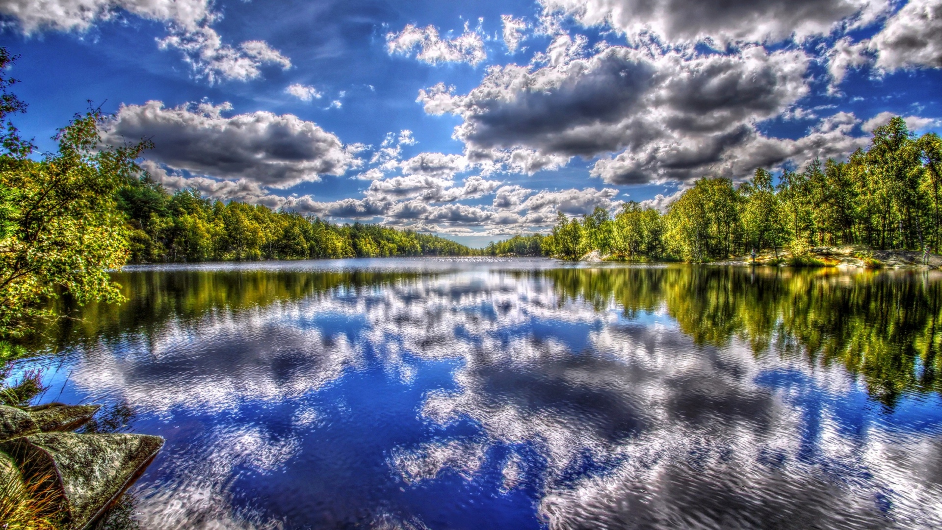Wallpaper River Summer Trees Sky Clouds HDr