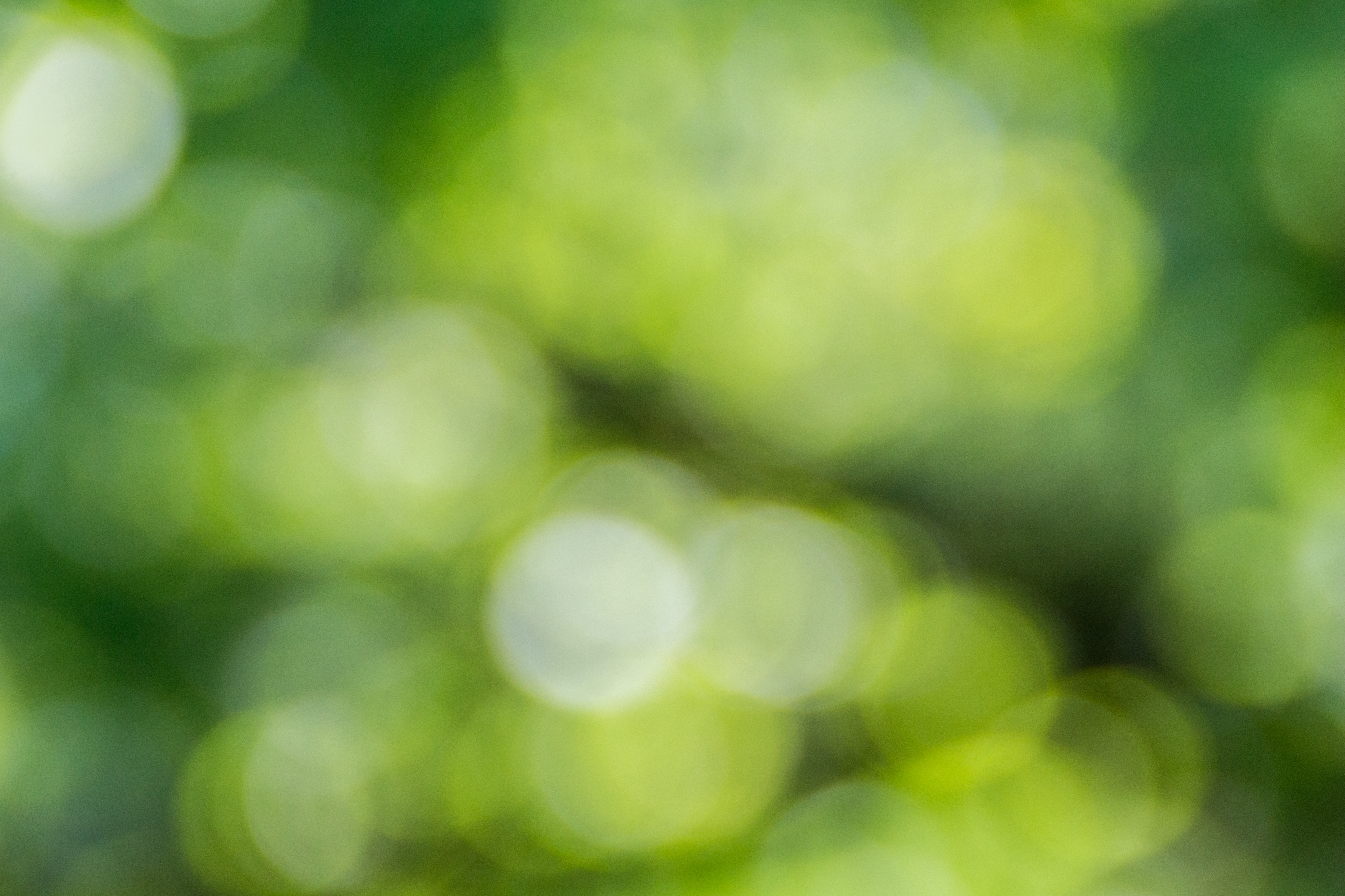 Green Wallpaper HD Hq