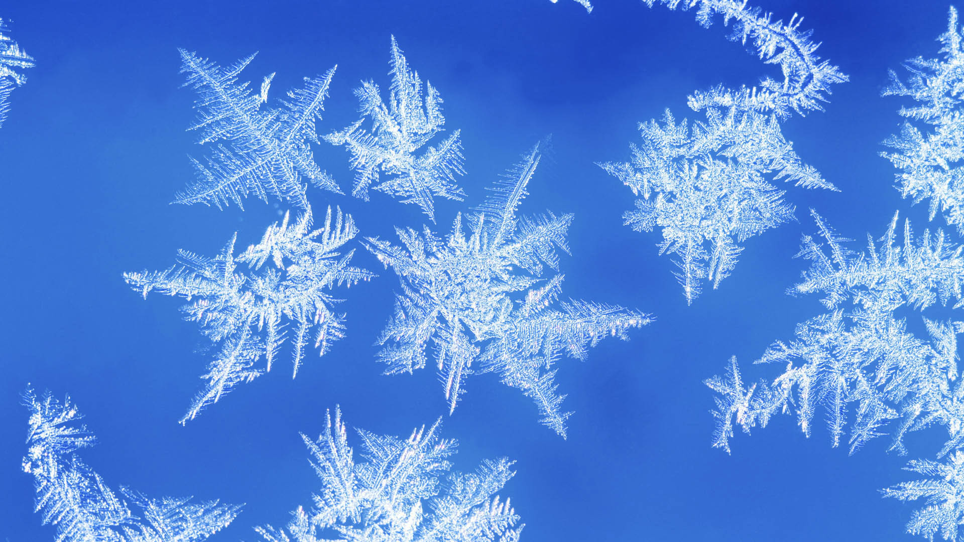 Snowflake Wallpaper HD