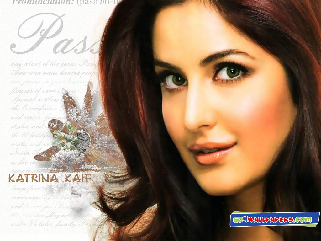 Bollywood New Wallpaper Katrina Kaif HD