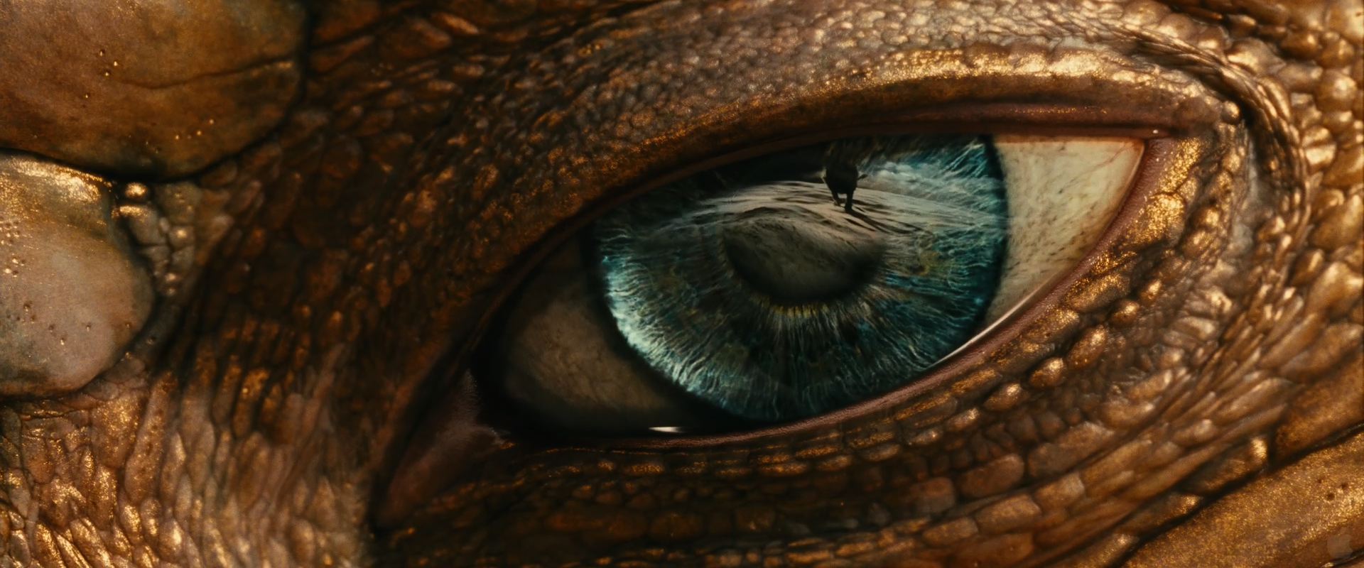 Eye Of The Dragon From Chronicles Narnia Voyage
