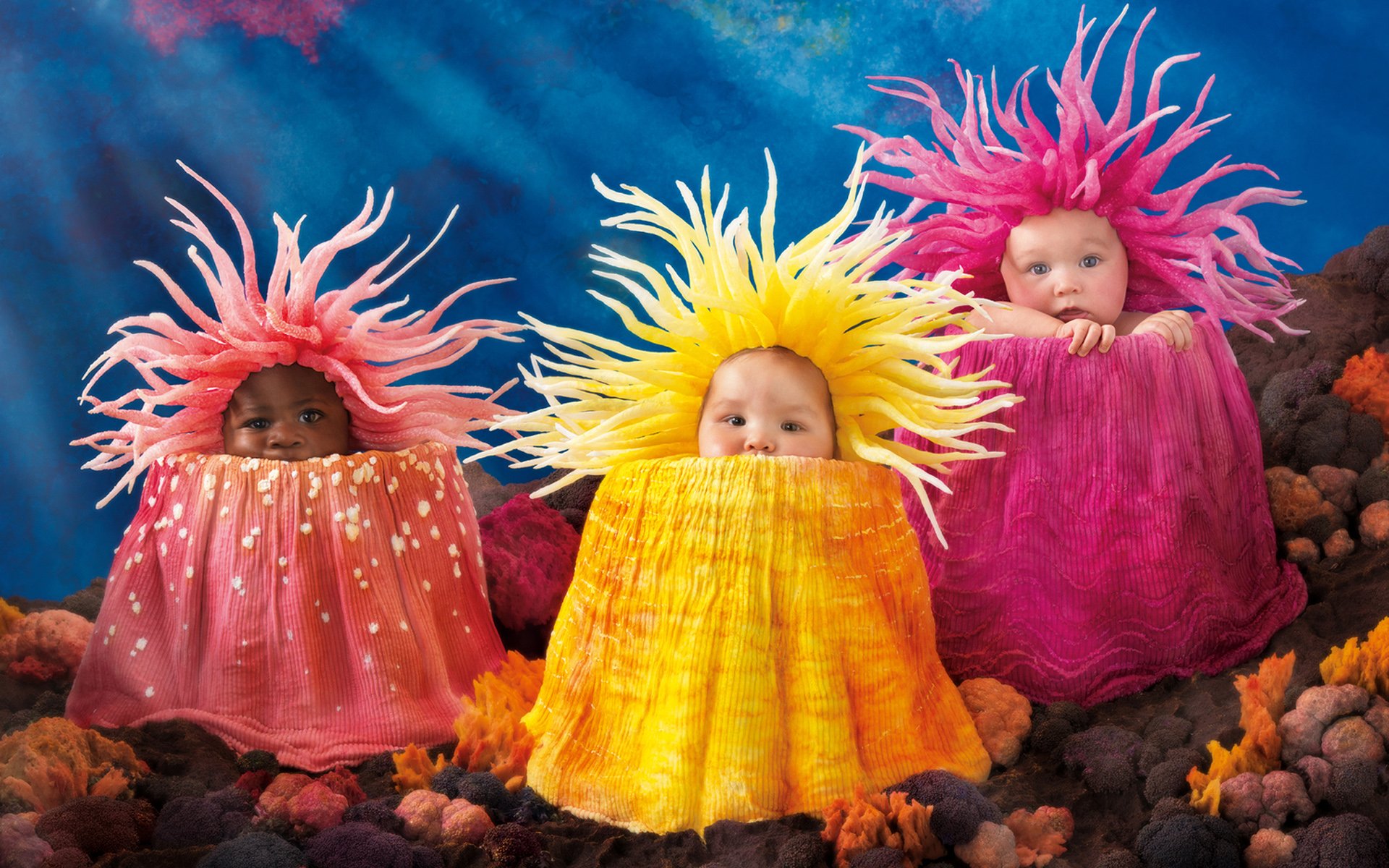 Enchanting Baby Portraits Wallpaper