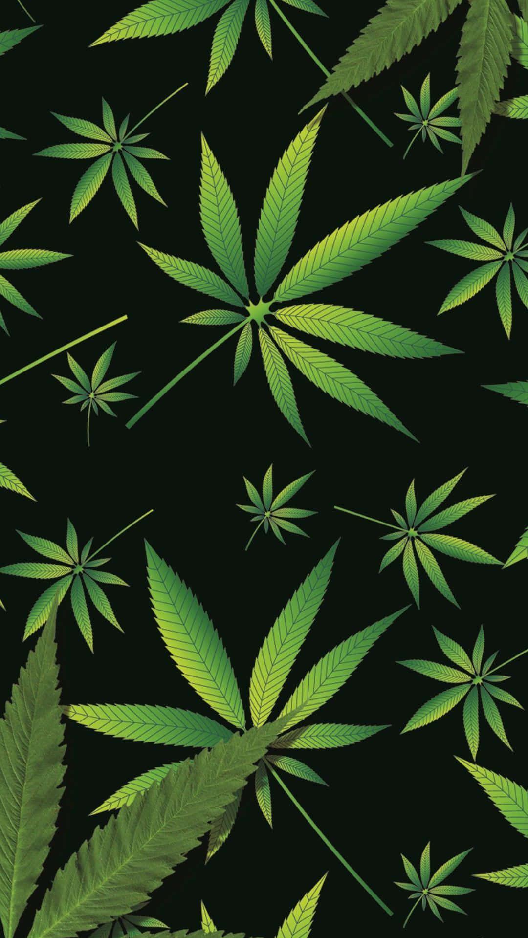 Real Marijuana Leaf On Poster Wallpaper