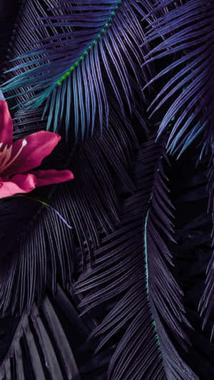 Aesthetic Palm Leaves HD Wallpaper