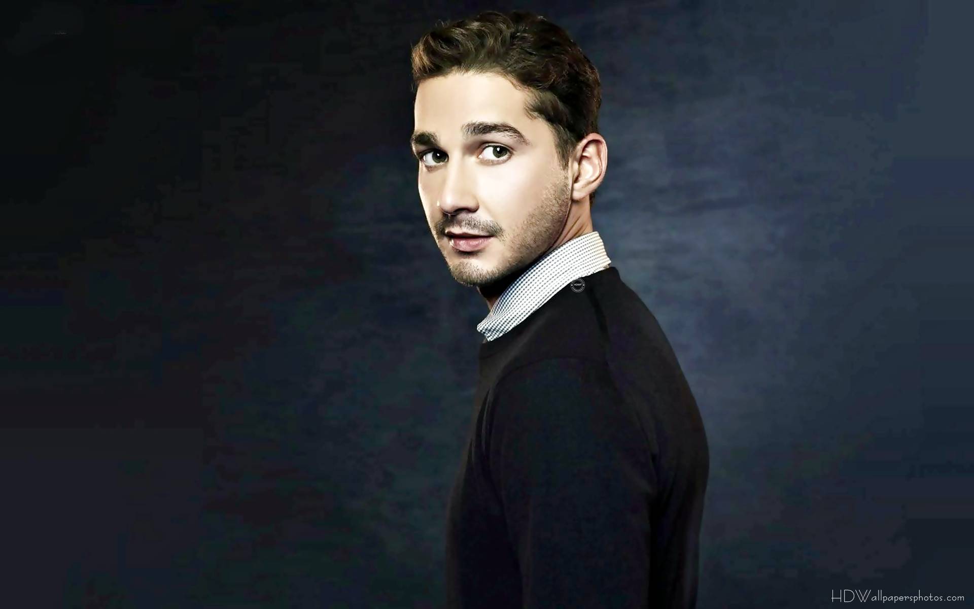 Shia Labeouf HD Wallpaper Image Pictures