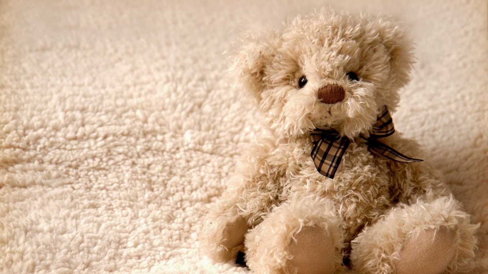 Lovely And Beautiful Teddy Bear Wallpaper Image