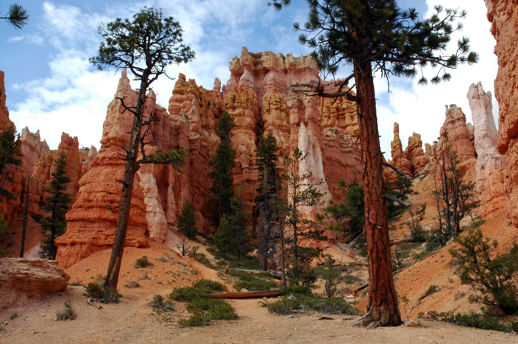 Bryce Canyon National Park Background Earth Gallery