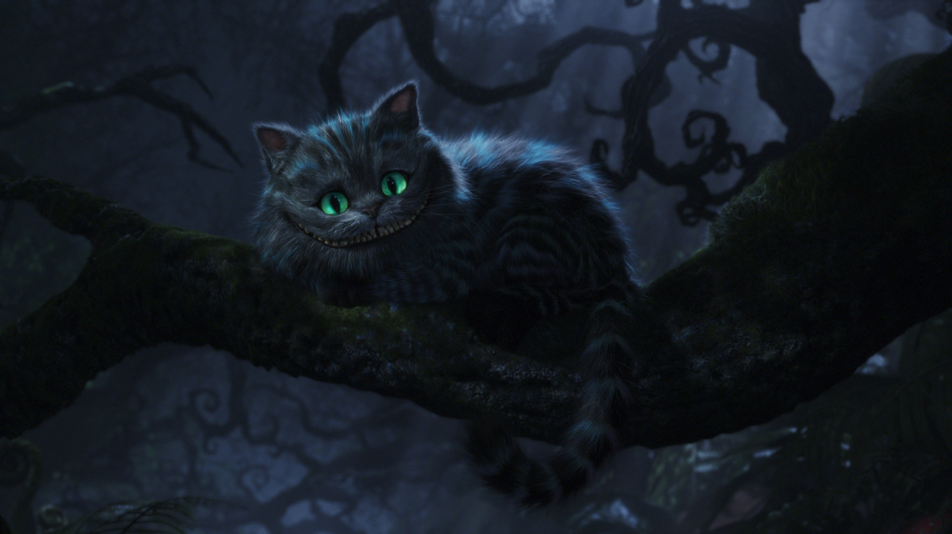 Cheshire Cat The Photo