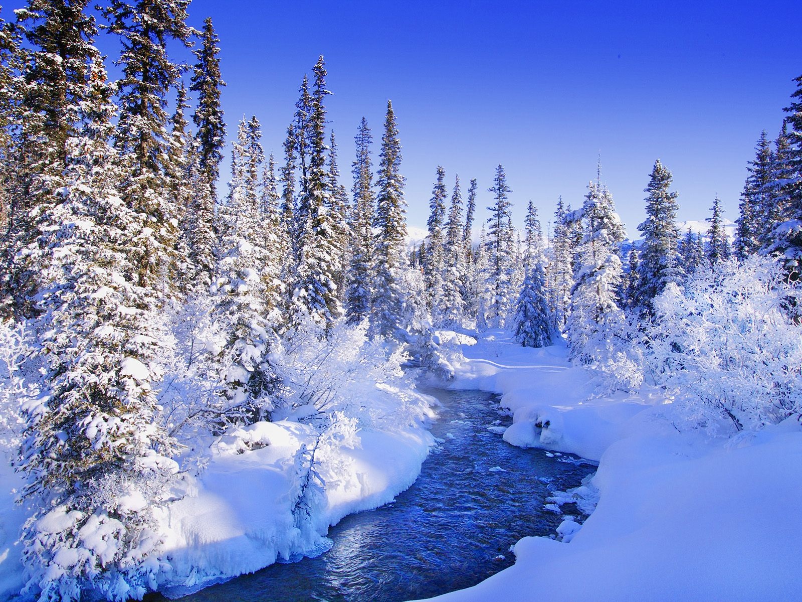 Nature Landscape Winter Wallpaper