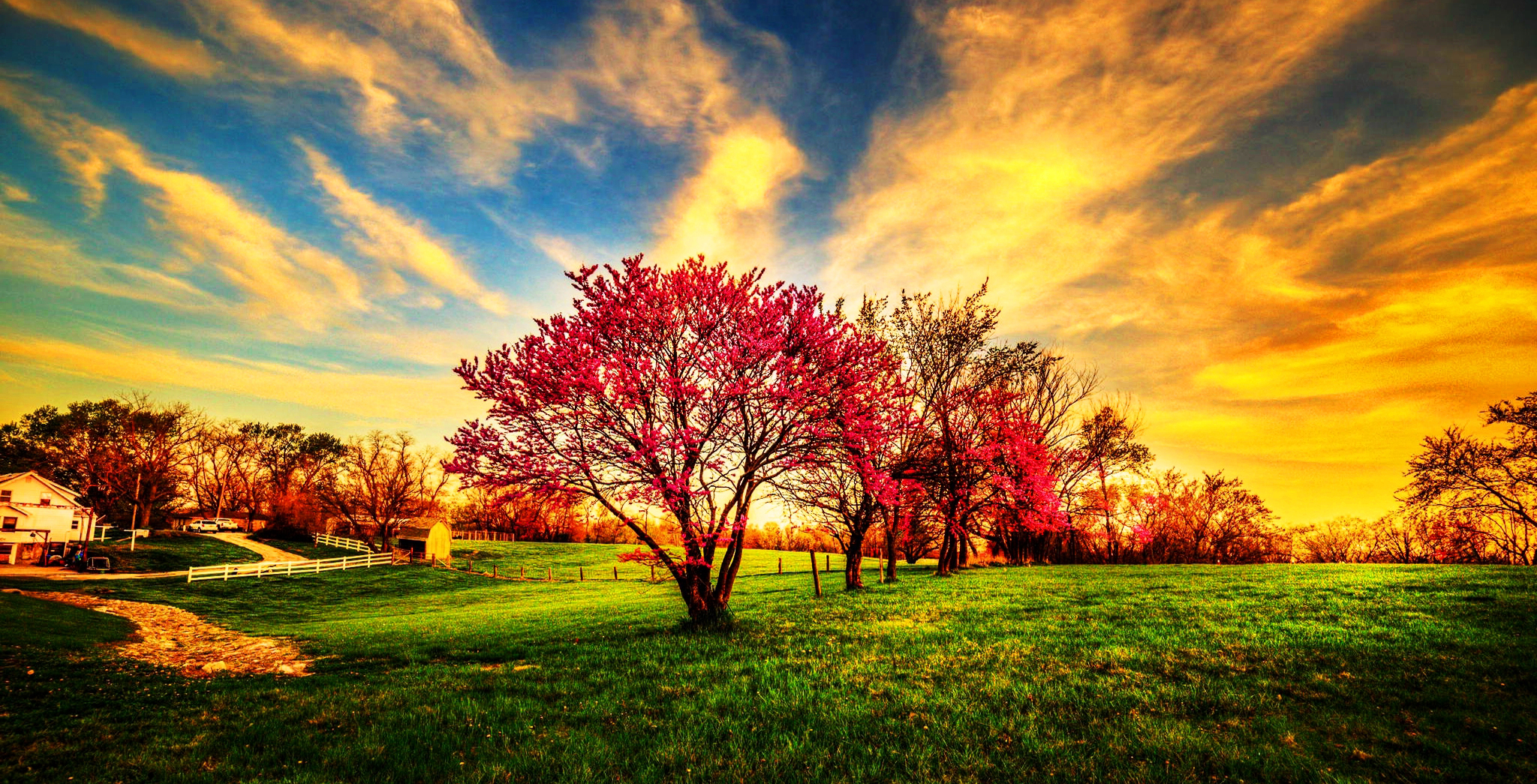 Awesome Nature Image Landscape Sky Organic Widescreen