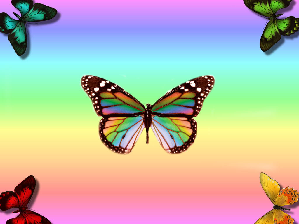 Rainbow Butterfly Wallpapers  Top Free Rainbow Butterfly Backgrounds   WallpaperAccess