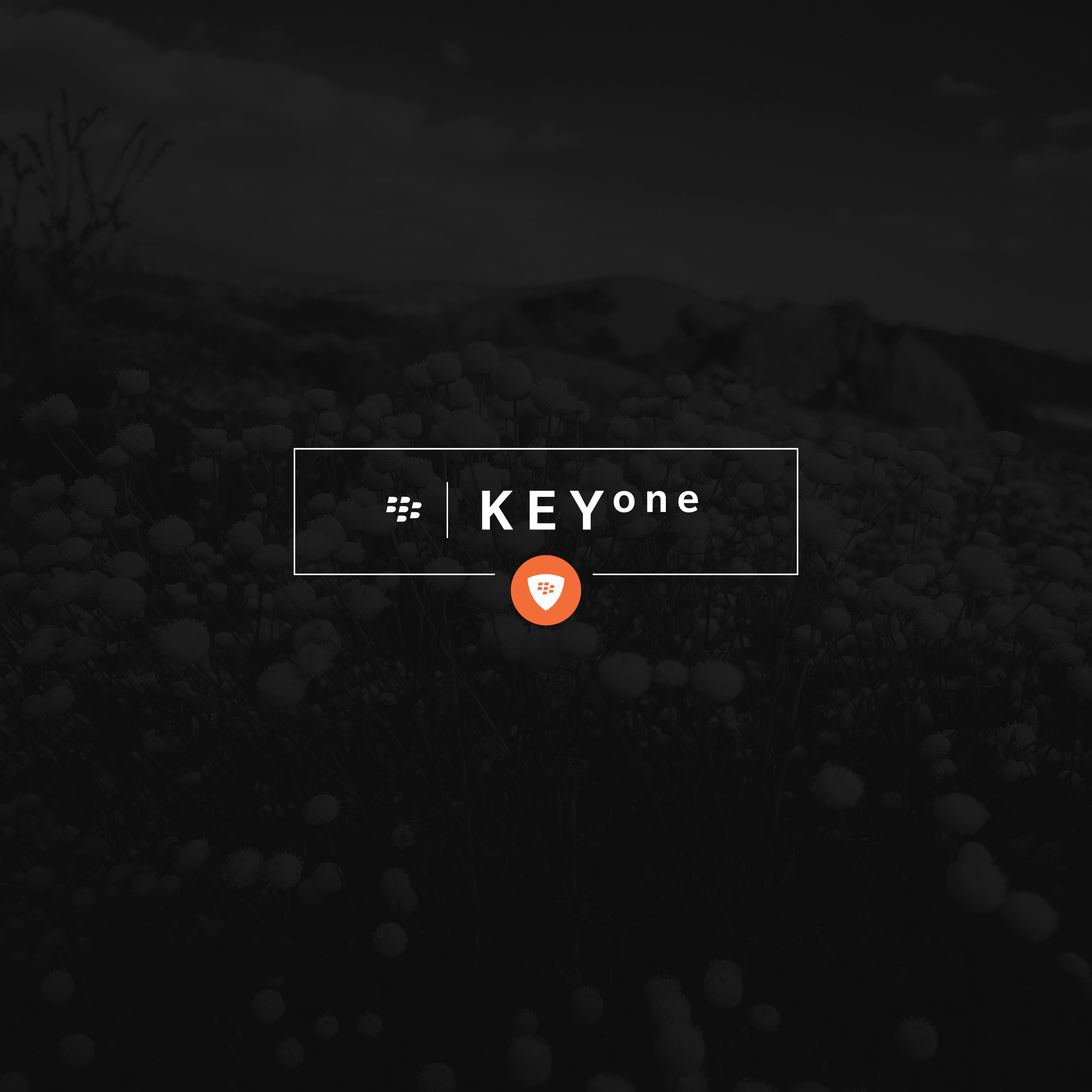 🔥 Free Download Keyone Pootermobile Crackberry Album On Imgur [2560x2560] For Your Desktop