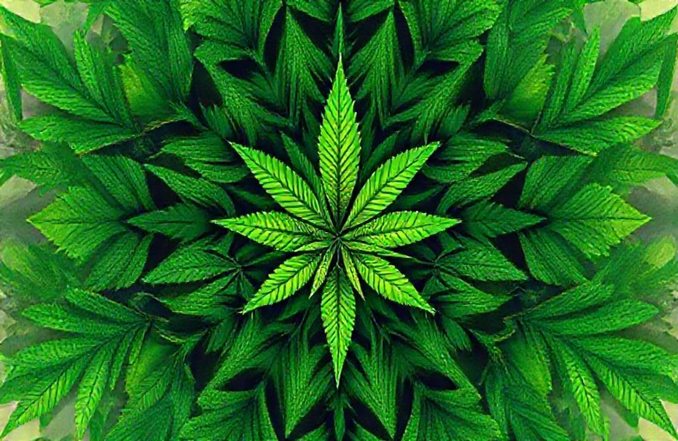 Weed Wallpaper