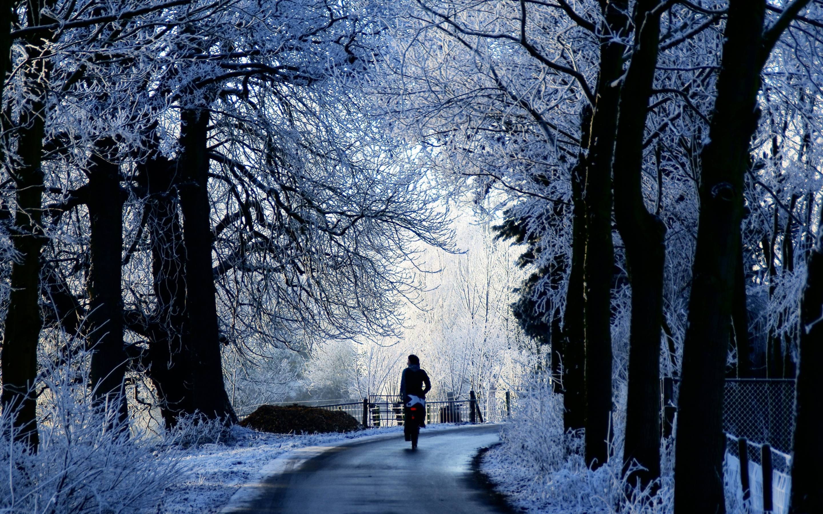 Winter Wallpapers For Mac 2880x1800