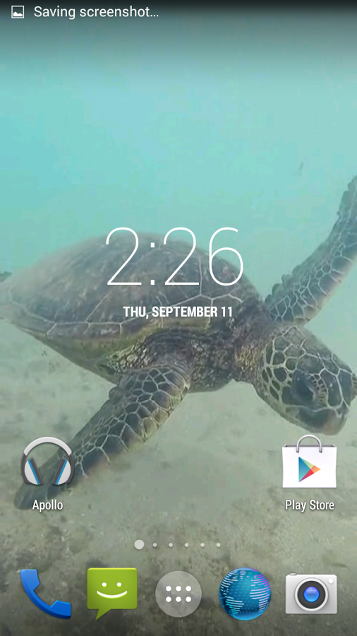Sea Turtle HD Wallpaper Android Apps On Google Play