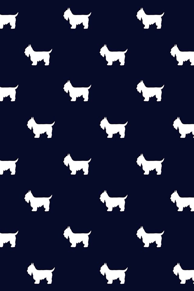 Fondo Schnauzer Fondos De Pantalla Perritos