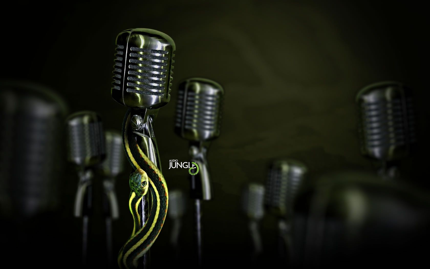 Microphones Singing Live Event Concept Instruments