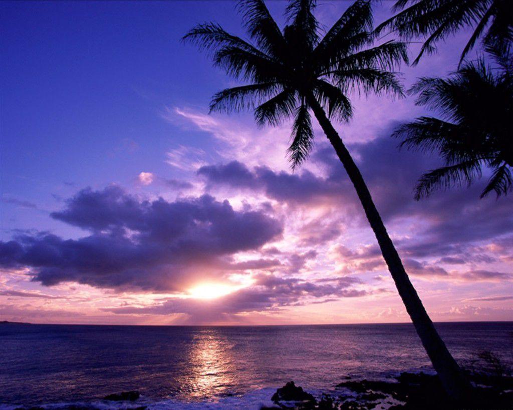 Cool HD Nature Desktop Wallpaper Tropical Sunset