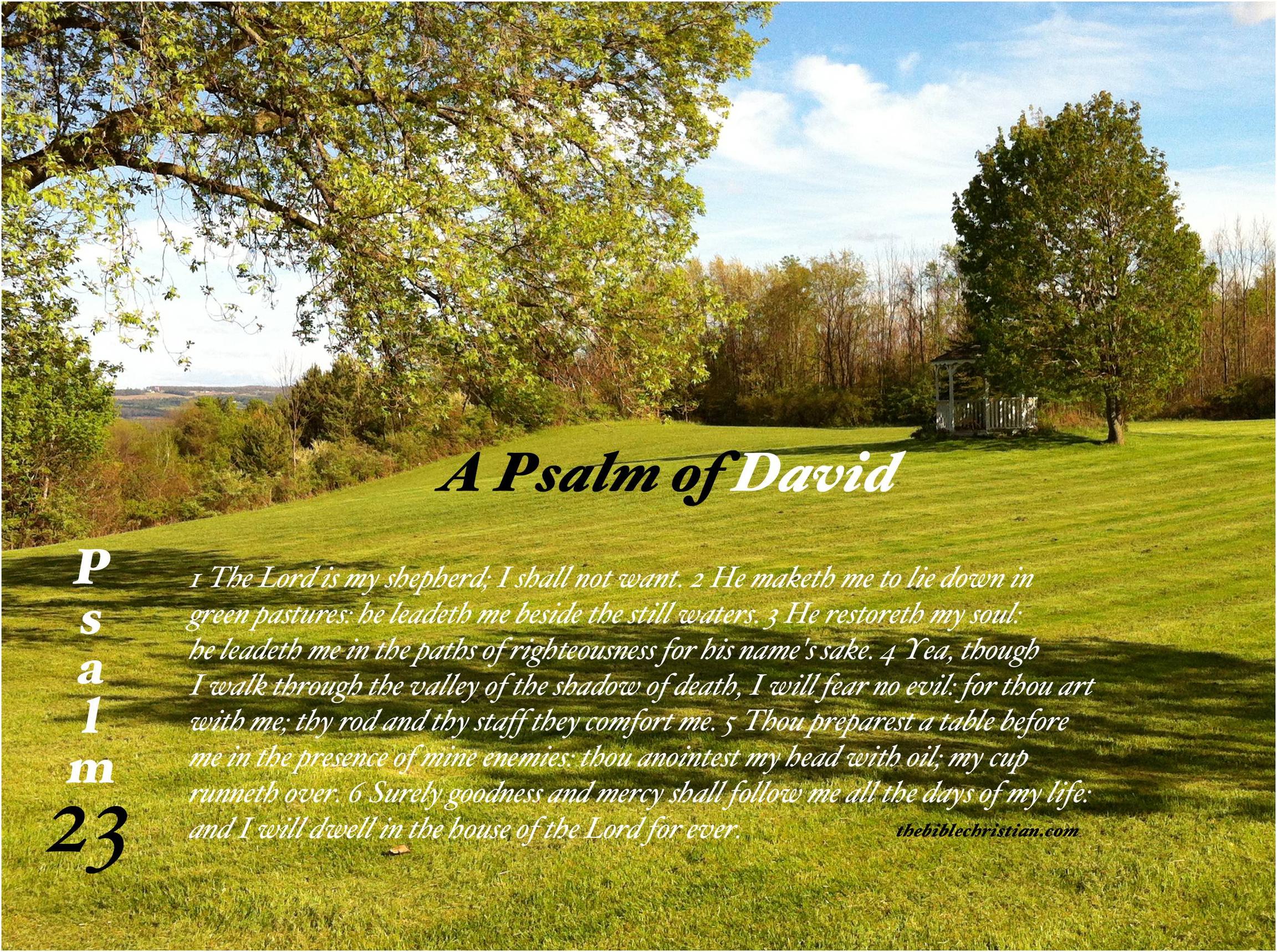 Psalm Wallpaper