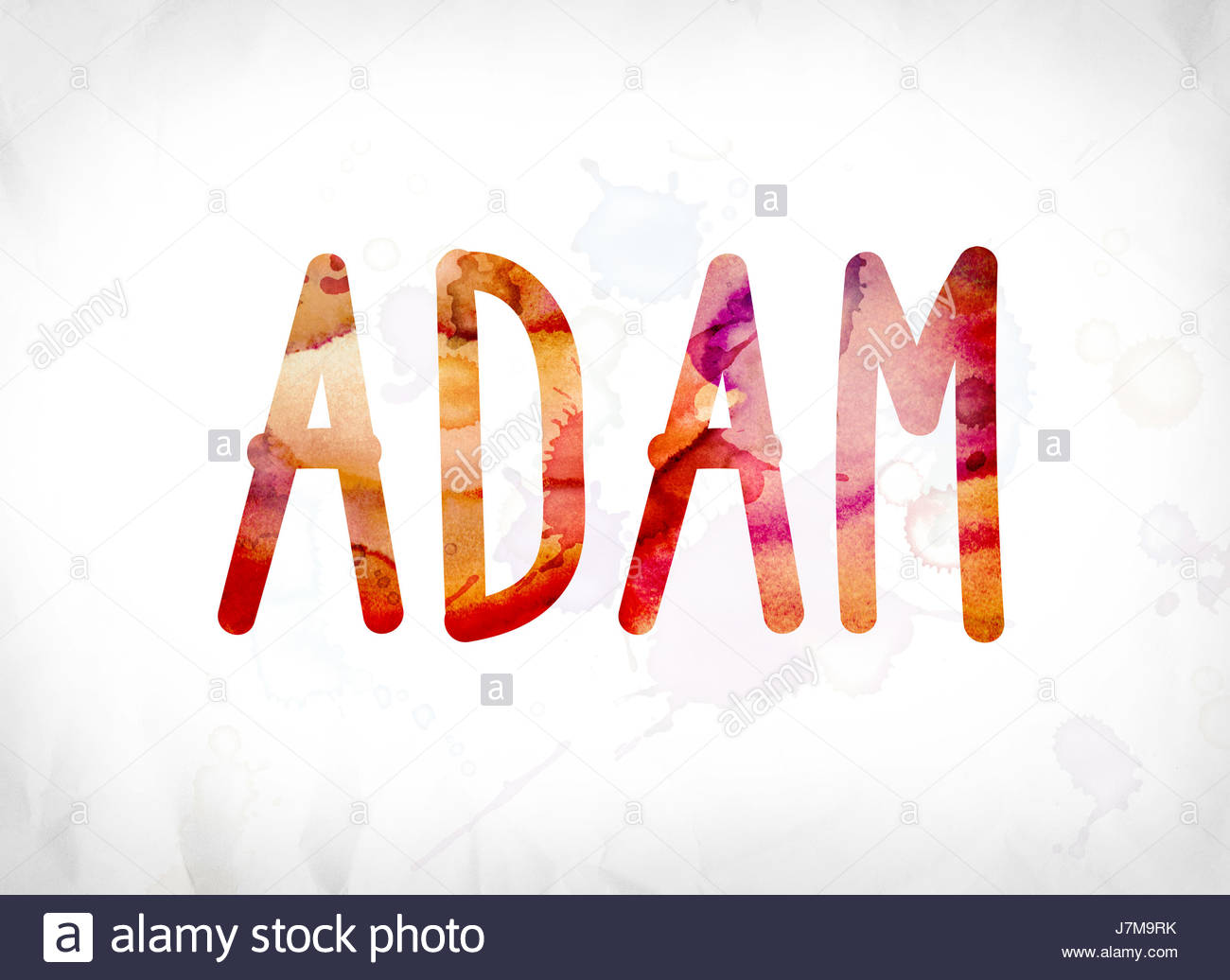 The Name Adam Concept And Theme Painted In Colorful Watercolors On